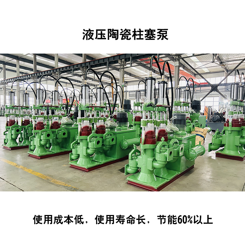 液壓驅(qū)動污泥柱塞泵